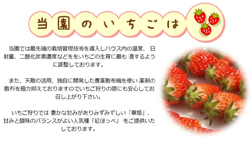 みらいワークス 公式 農業生産法人こもろ布引いちご園株式会社の管理職求人 長野県小諸市