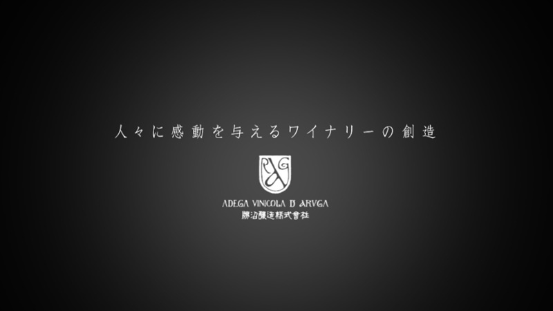 800x400