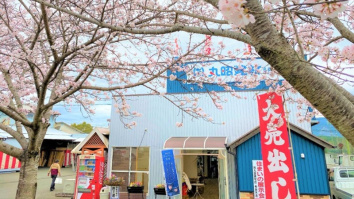 有限会社丸昭建材店