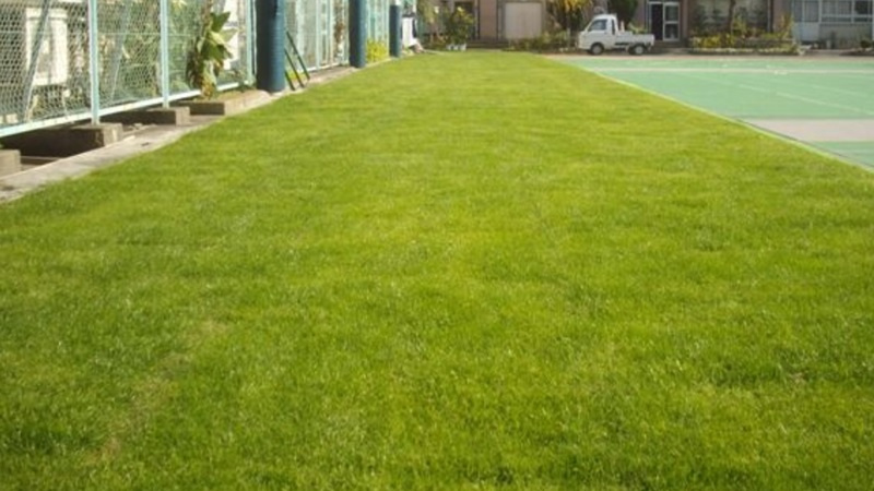 800x400