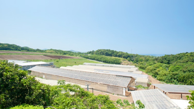 800x400