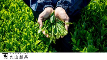 丸山製茶株式会社
