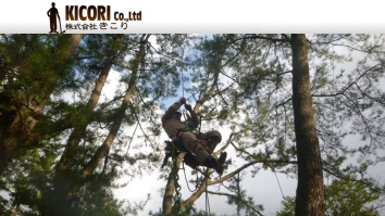 株式会社きこり