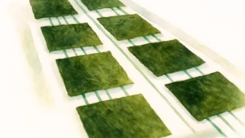 株式会社ヤマコ