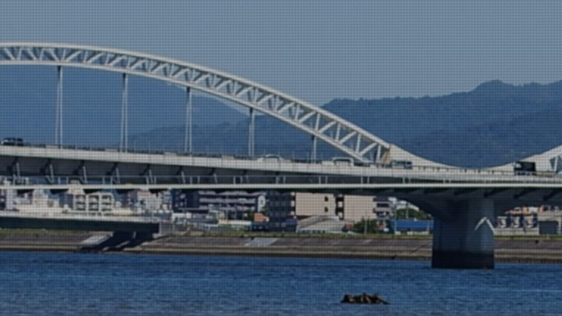 800x400